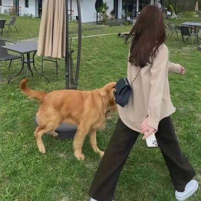 胡安妮塔再出发